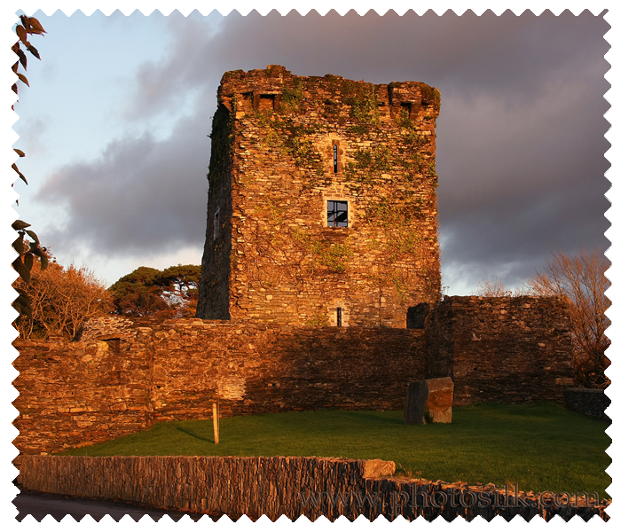 Carriganass Castle